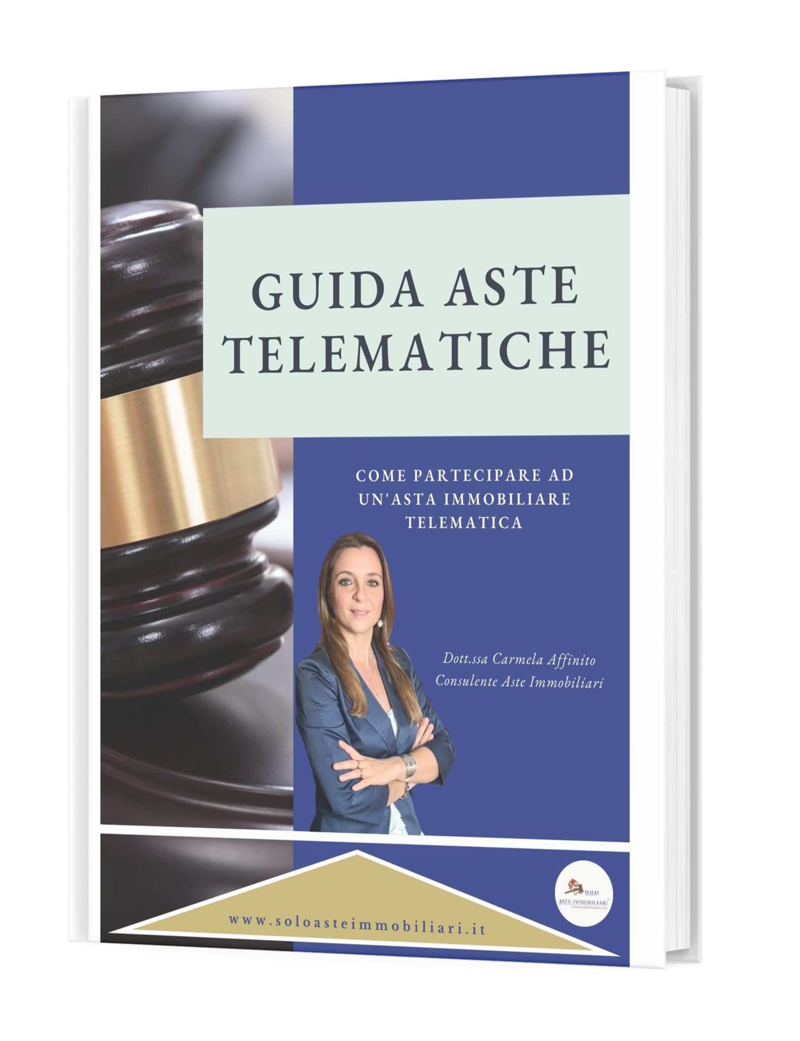 Ebook Guida Aste Telematiche